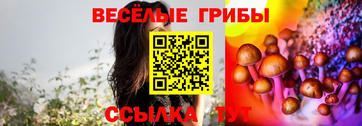 Галлюциногенные грибы Psilocybine cubensis  Галлюциногенные грибы Magic Shrooms  Хабаровск  Вход с VPN 